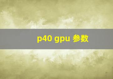 p40 gpu 参数